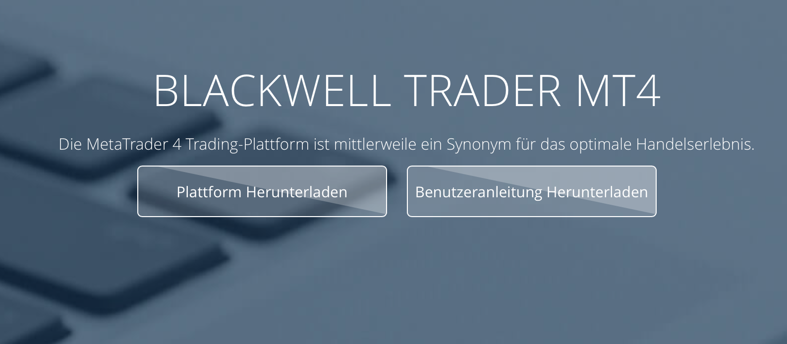 Mit dem MetaTrader 4 lassen sich vollautomatisierte Handelsstrategien mittels EAs erstellen