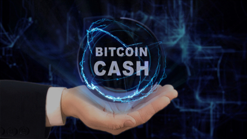 Bitcoin Cash Anlegerwissen 2019 Bcc Kaufen - 